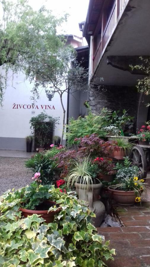 Apartmaji Pri Zivcovih Dutovlje المظهر الخارجي الصورة