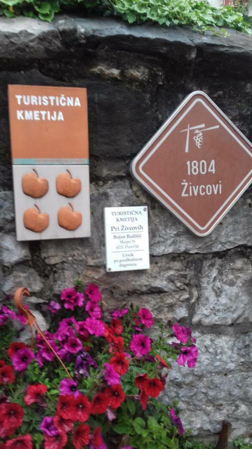 Apartmaji Pri Zivcovih Dutovlje المظهر الخارجي الصورة