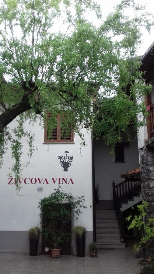 Apartmaji Pri Zivcovih Dutovlje المظهر الخارجي الصورة